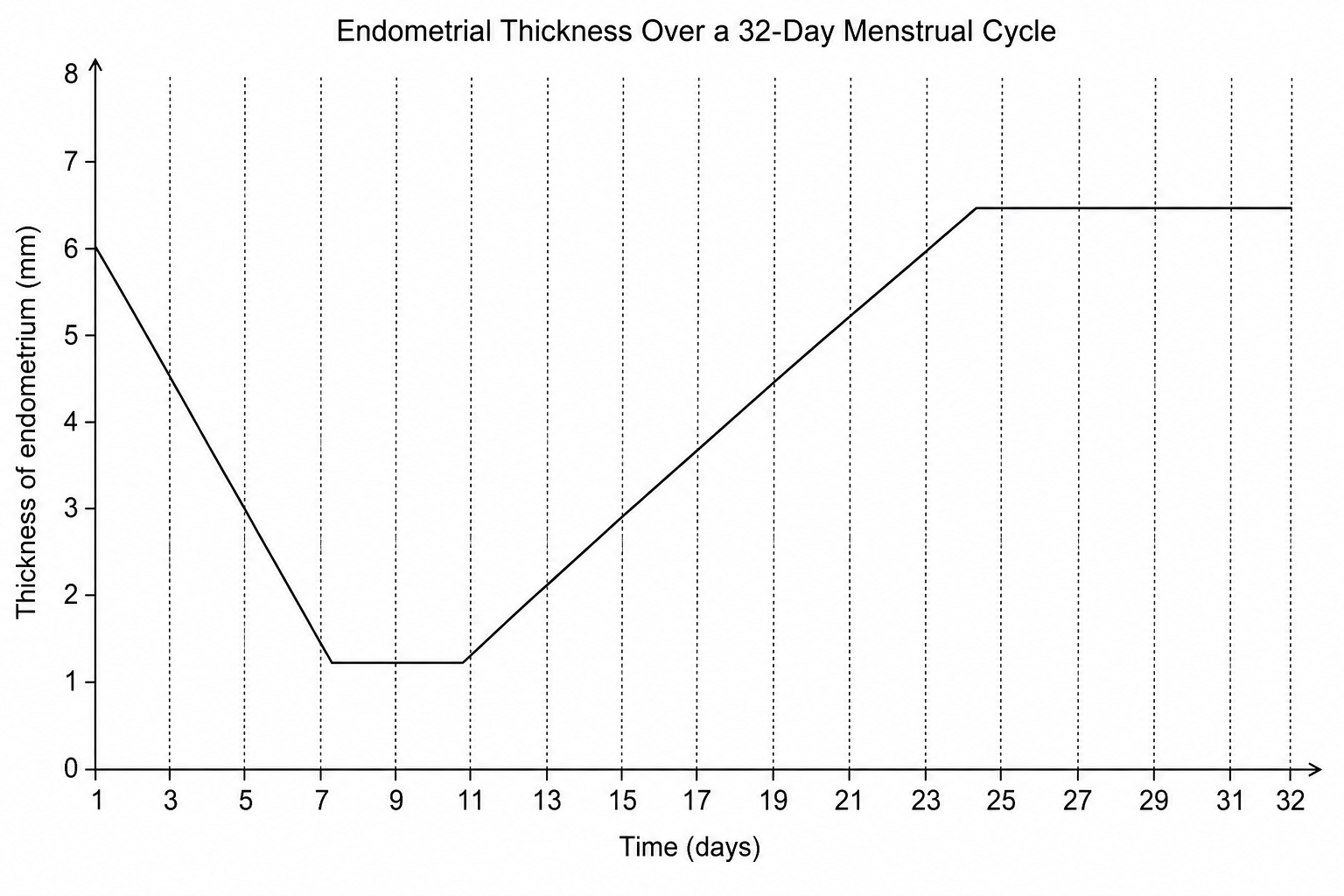 Endometrial Thickness Over a 32-Day Menstrual Cycle