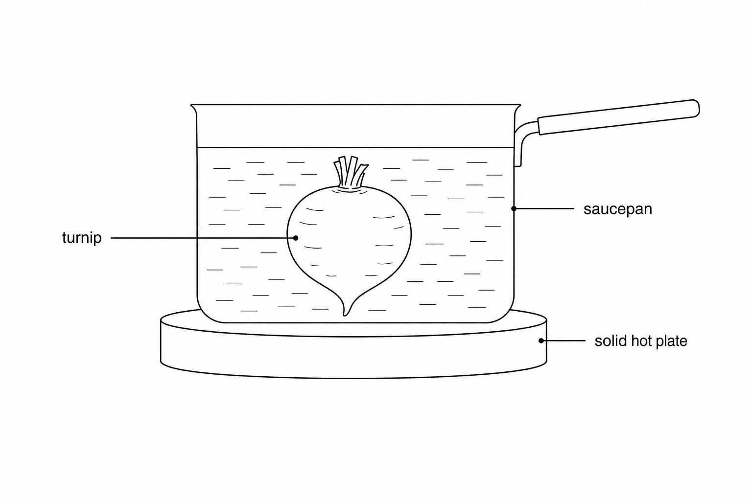 A schematic diagram showing a metal saucepan resting on a solid hot plate. The saucepan is filled with water, and a turnip is fully submerged inside. Labels show: 'hot plate', 'saucepan', and 'turnip'.