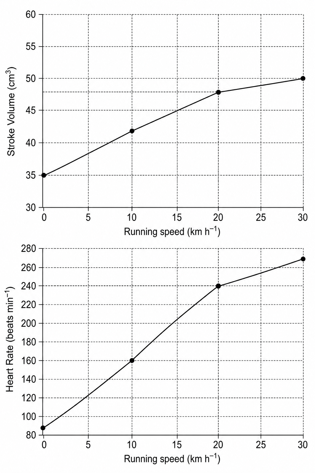 Cardiovascular parameters of a sled dog during exercise