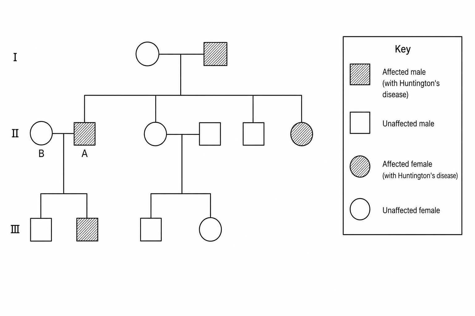 Pedigree diagram showing three generations of a family