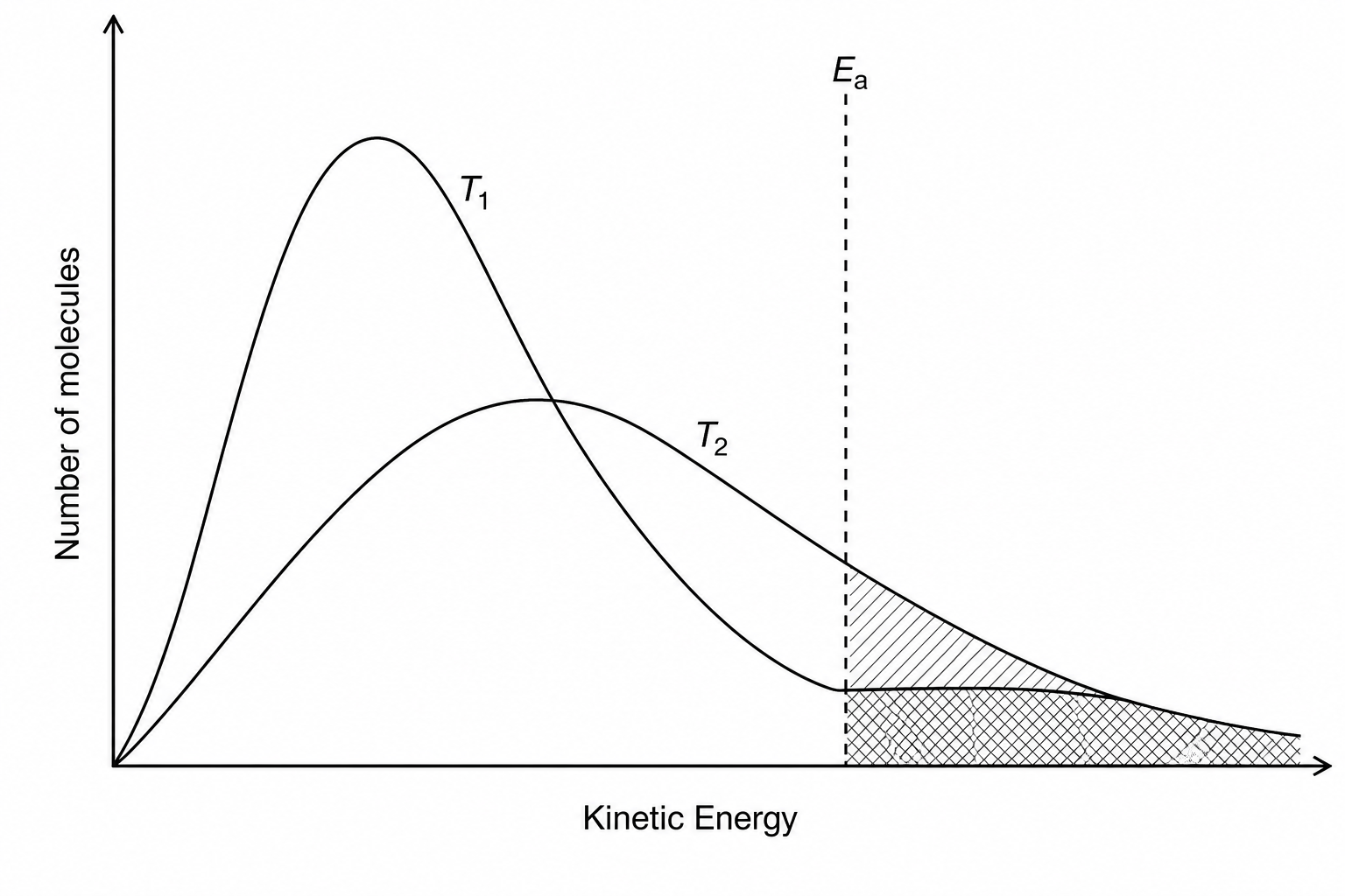 Maxwell-Boltzmann distribution curves