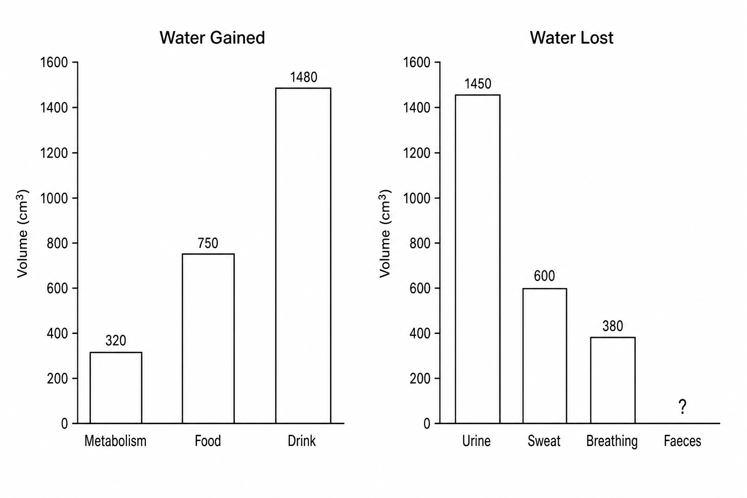 Water Balance Bar Chart