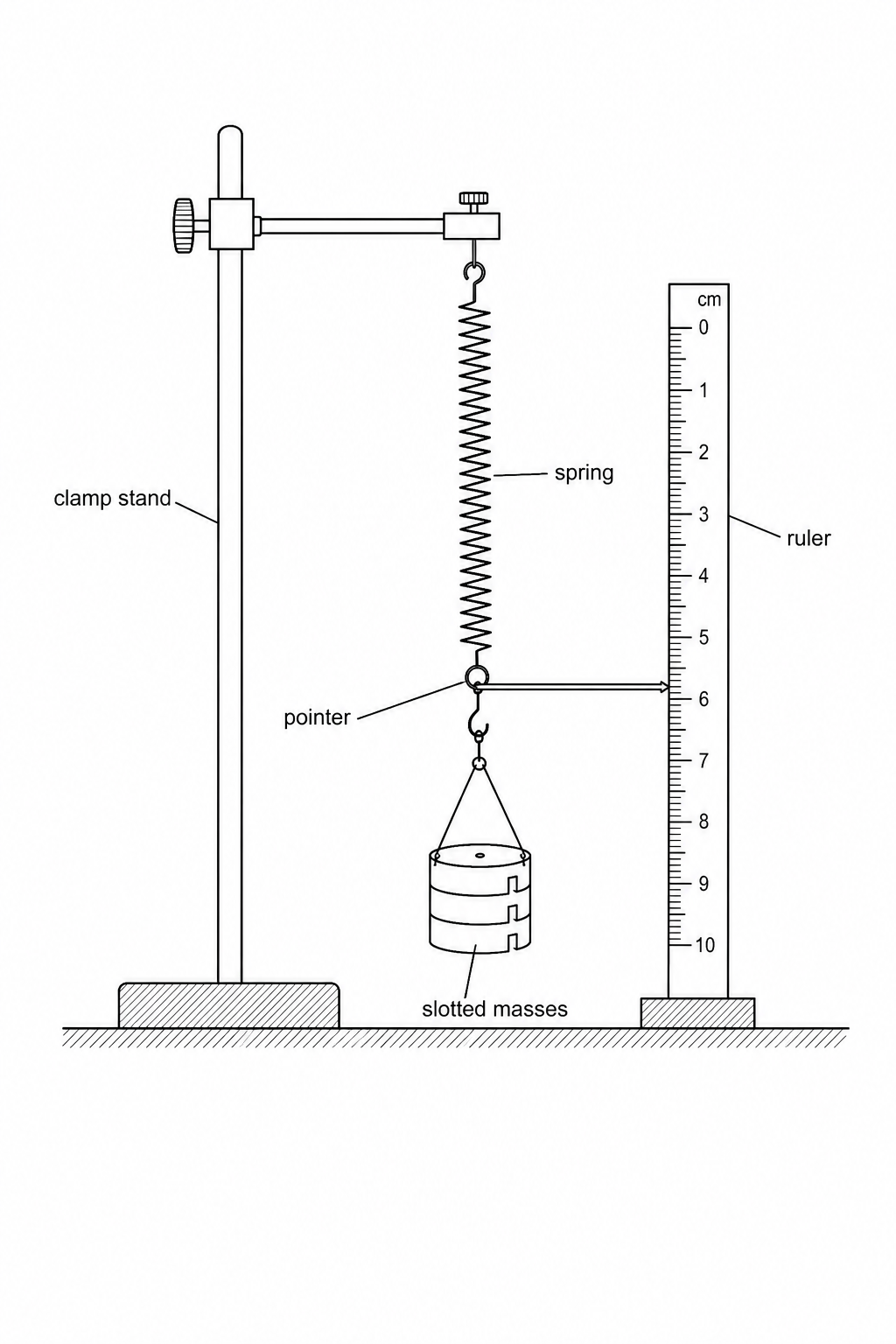 Figure 1: Diagram of a lab setup. A stiff metal spring is suspended vertically from a clamp stand. A pointer attached to the bottom of the spring points to a vertical half-metre ruler. Slotted masses are suspended from the lower hook of the spring.