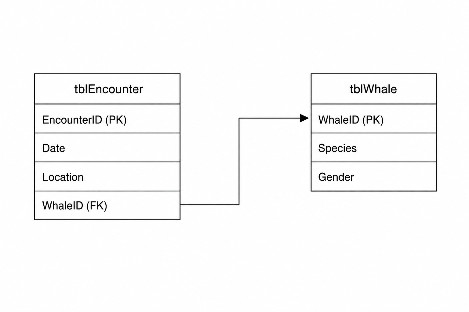 Database Schema