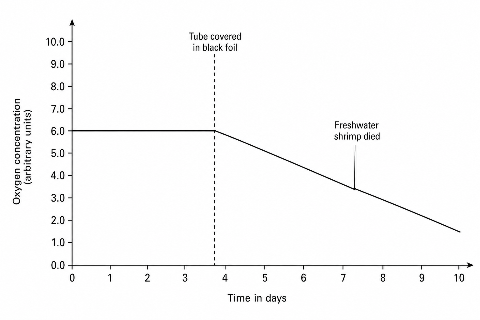 A line graph showing the concentration of dissolved oxygen in a sealed boiling tube over a period of 10 days. The vertical axis is labeled 'Oxygen concentration (arbitrary units)' ranging from 0.0 to 10.0. The horizontal axis is labeled 'Time in days' ranging from 0 to 10. From Day 0 to Day 4, the oxygen level is constant at 6.0. At Day 4, there is a vertical line indicating 'Tube covered in black foil'. From Day 4 to Day 7, the line slopes downward from 6.0 to 3.5. At Day 7, there is a label 'Freshwater shrimp died'. From Day 7 to Day 10, the line continues to slope downward, decreasing from 3.5 to 1.5.