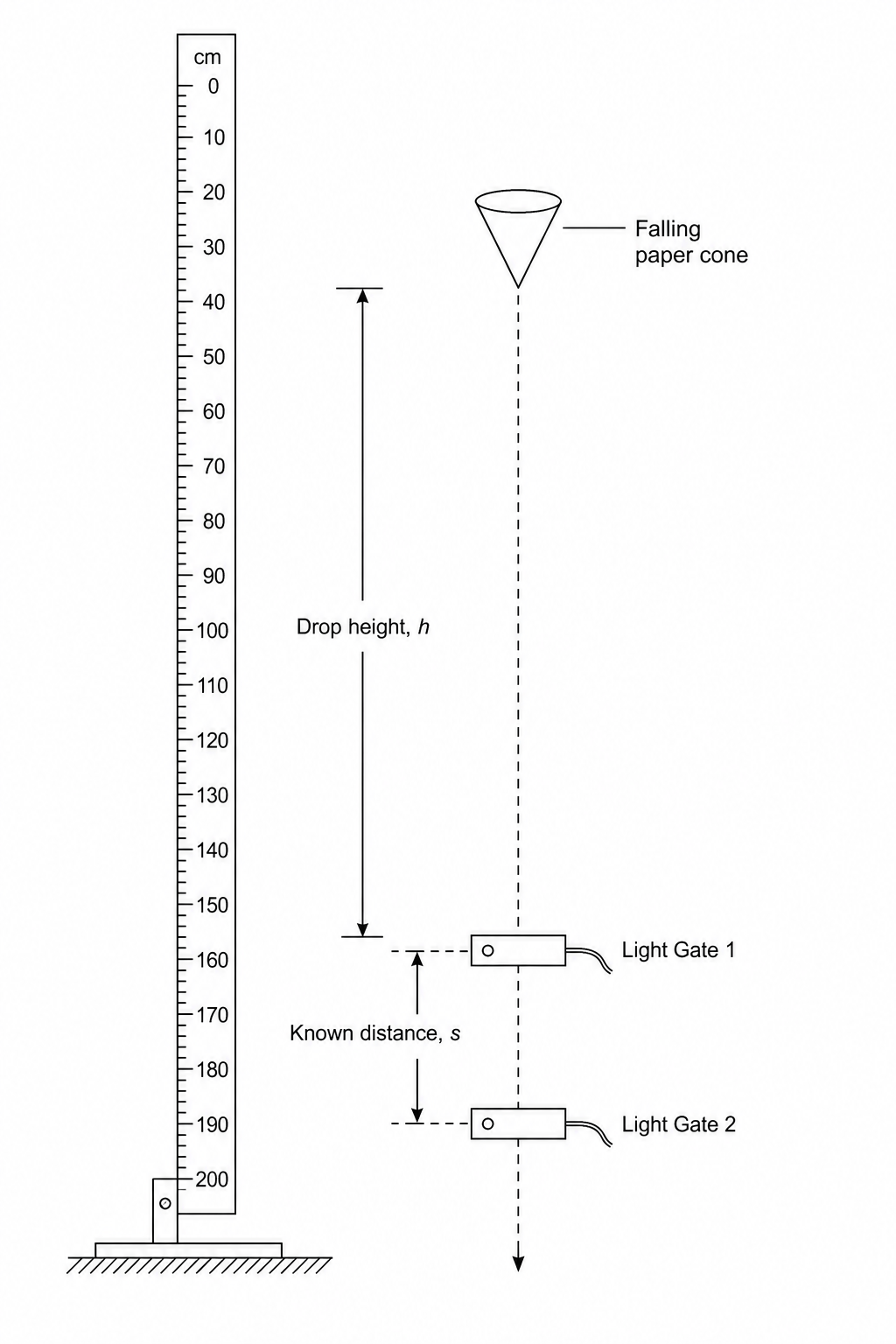 Experimental Setup