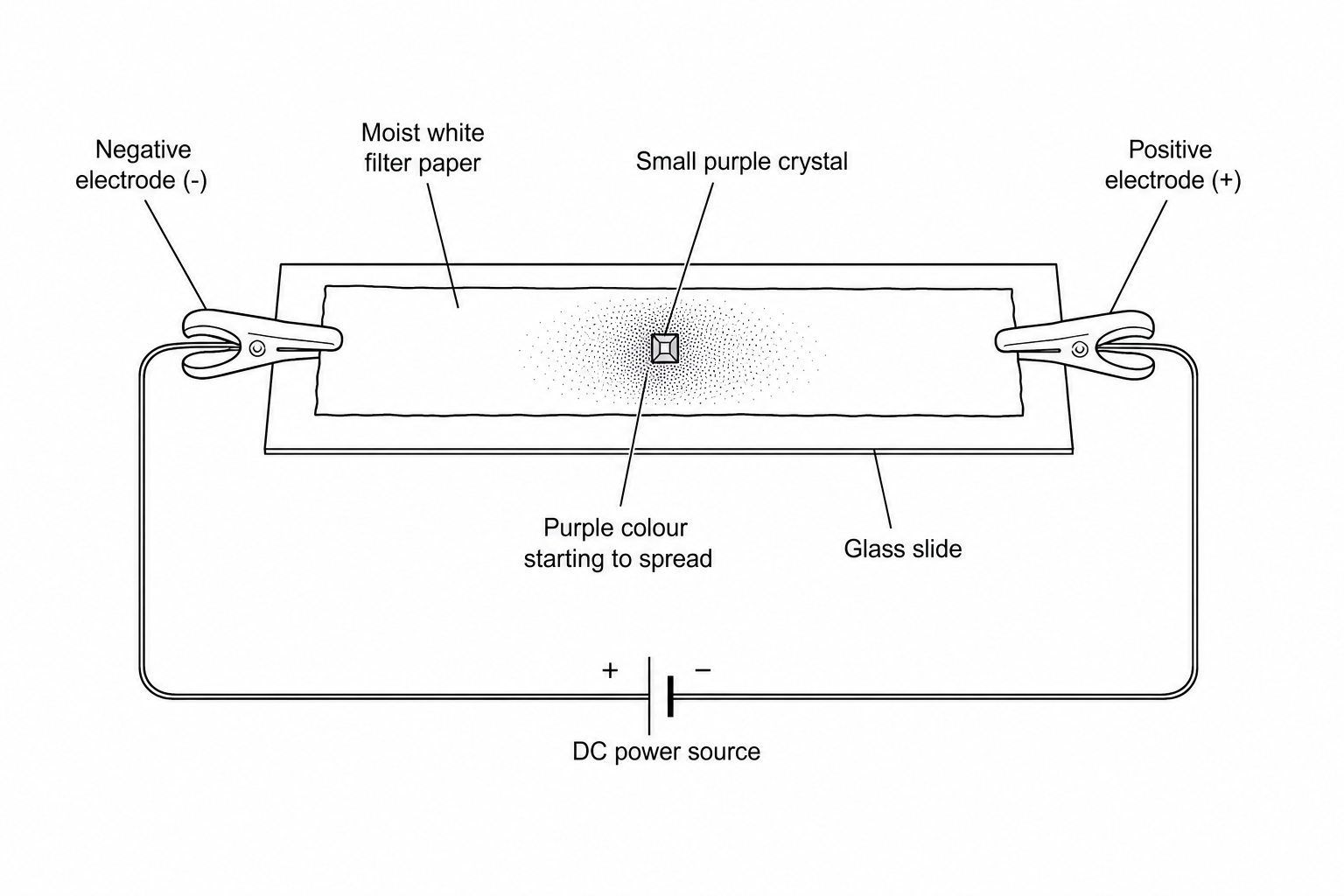 Figure 1: Demonstration of ion migration