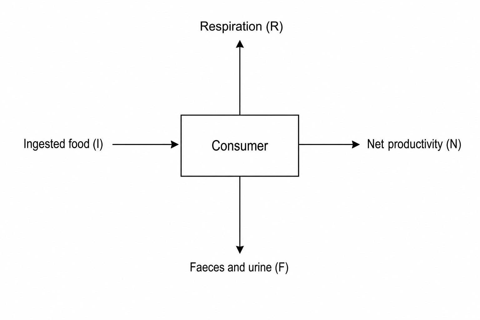 Energy flow diagram of a consumer