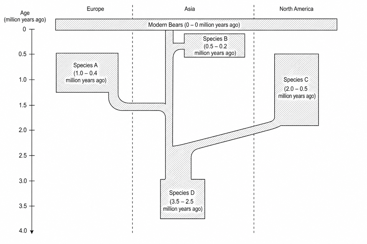 Evolutionary diagram showing geological age and geographic distribution of bear lineages