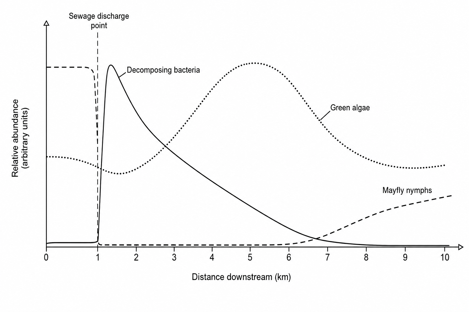 Graph showing the relative abundance of mayfly nymphs, green algae, and decomposing bacteria along a river before and after a sewage discharge point