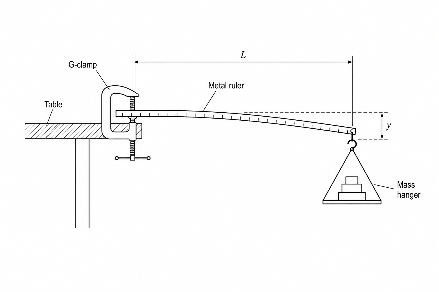A metal ruler is clamped horizontally to a stable tabletop using a G-clamp at one end. A length L of the ruler extends horizontally past the edge of the table. A mass hanger is suspended from the free end of the ruler, causing the ruler to bend downwards by a vertical deflection y.