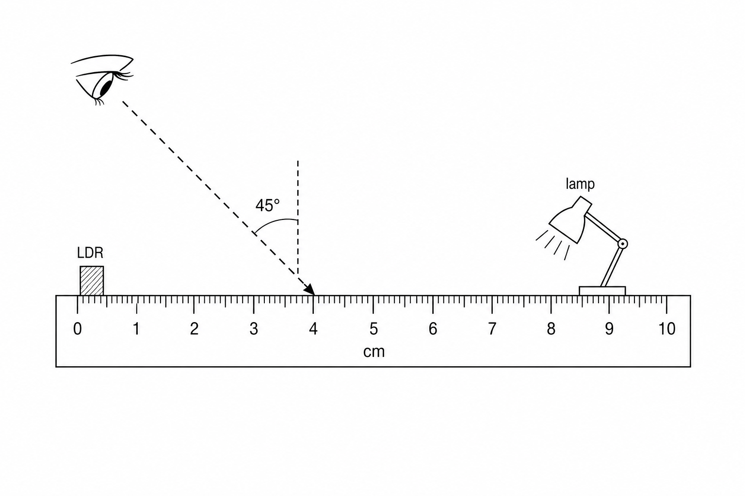 Ruler reading with parallax error