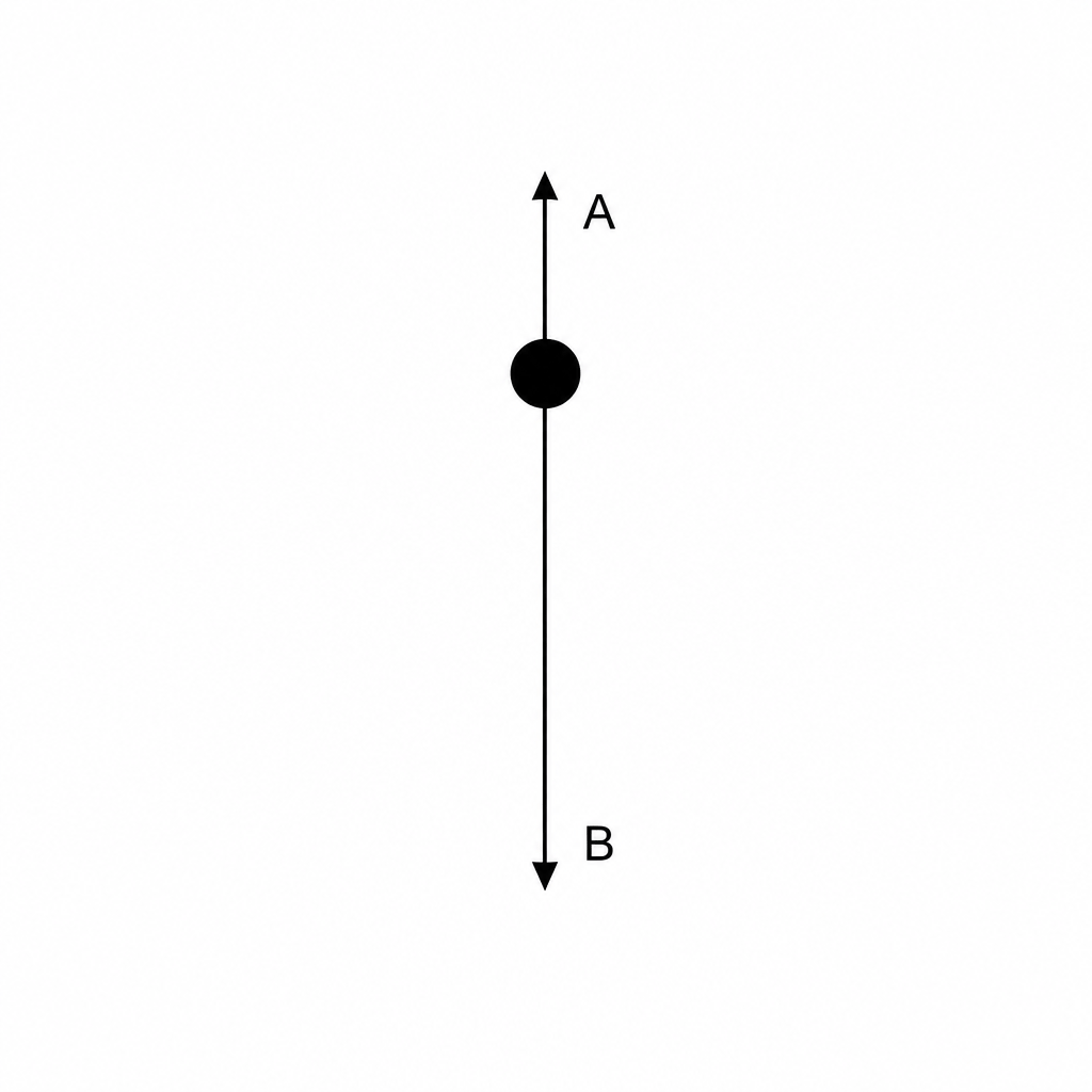 A diagram showing a central black circle representing a falling parcel. A short arrow labeled A points straight upwards from the circle. A longer arrow labeled B points straight downwards from the circle.