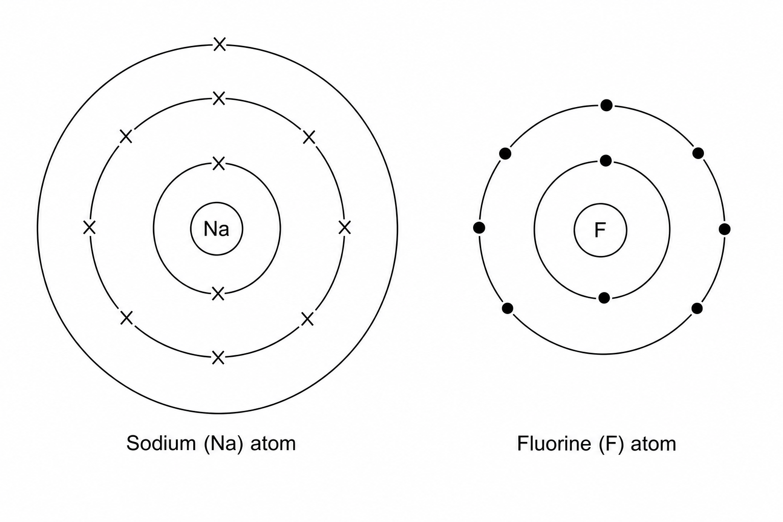 Figure 1: Electronic configurations of a sodium atom and a fluorine atom. The sodium (Na) atom has 11 electrons shown as crosses: 2 in the first shell, 8 in the second shell, and 1 in the outer shell. The fluorine (F) atom has 9 electrons shown as dots: 2 in the first shell and 7 in the outer shell.