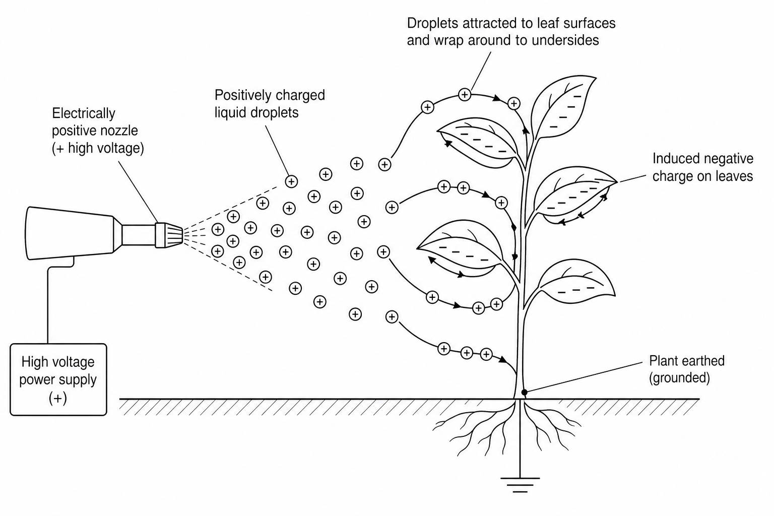 An electrostatic crop sprayer spraying positively charged pesticide droplets onto an earthed plant