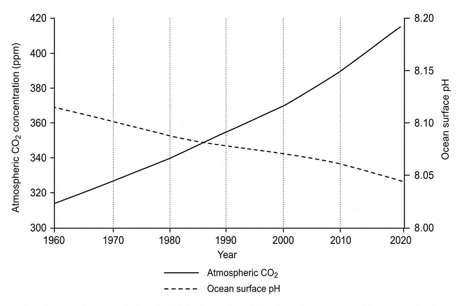 A line graph with a dual vertical axis plotted from the year 1960 to 2020. The horizontal axis represents 'Year' with gridlines every 10 years: 1960, 1970, 1980, 1990, 2000, 2010, 2020. The left vertical axis represents 'Atmospheric CO2 concentration (ppm)' ranging from 300 to 420. The right vertical axis represents 'Ocean surface pH' ranging from 8.00 to 8.20. A solid curve for 'Atmospheric CO2' starts at 315 ppm in 1960, rises to 340 ppm in 1980, reaches 370 ppm in 2000, and climbs to 415 ppm in 2020. A dashed curve for 'Ocean surface pH' starts at 8.12 in 1960, falls to 8.10 in 1980, falls to 8.08 in 2000, and falls to 8.05 in 2020.