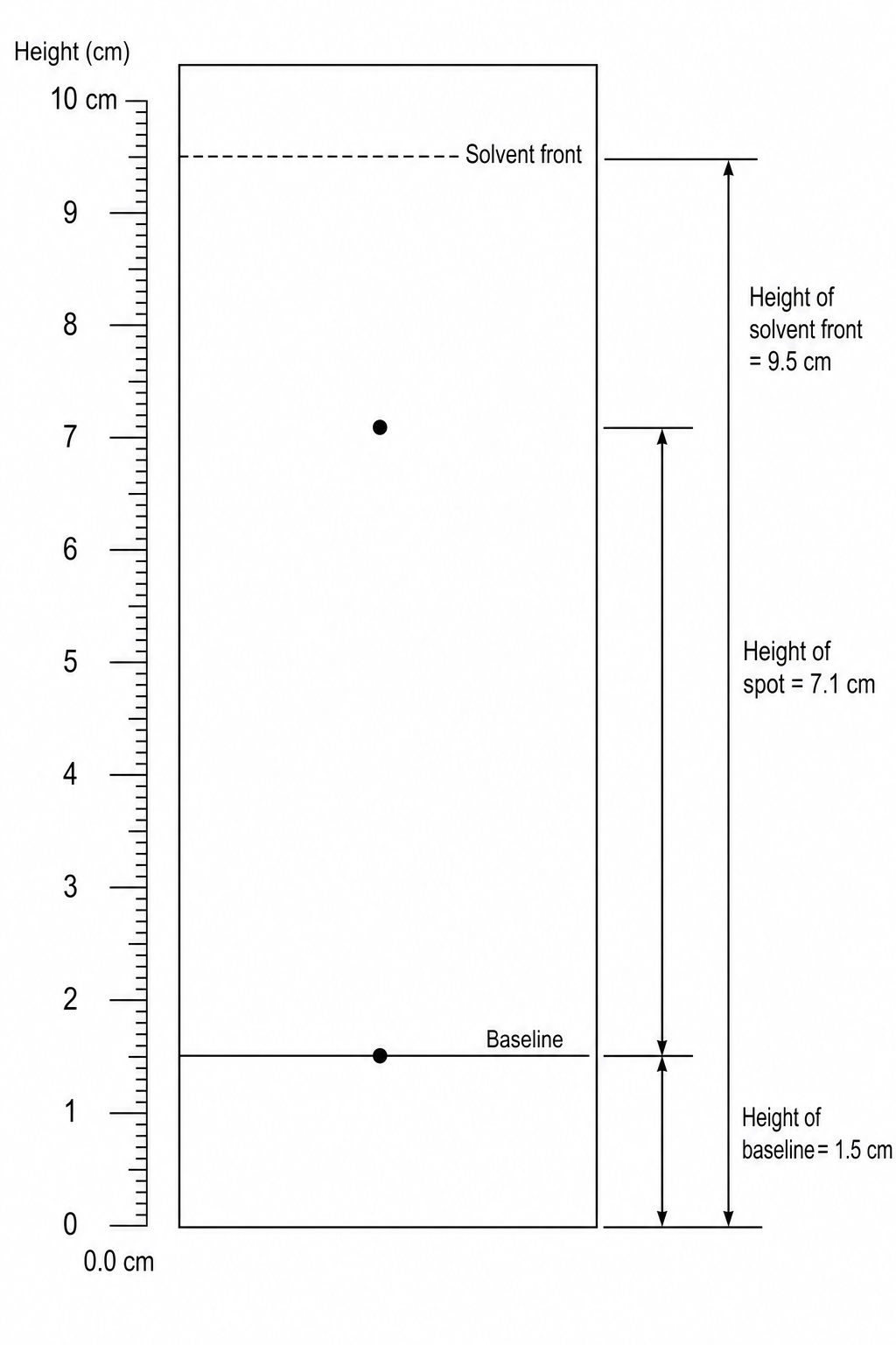 TLC Plate