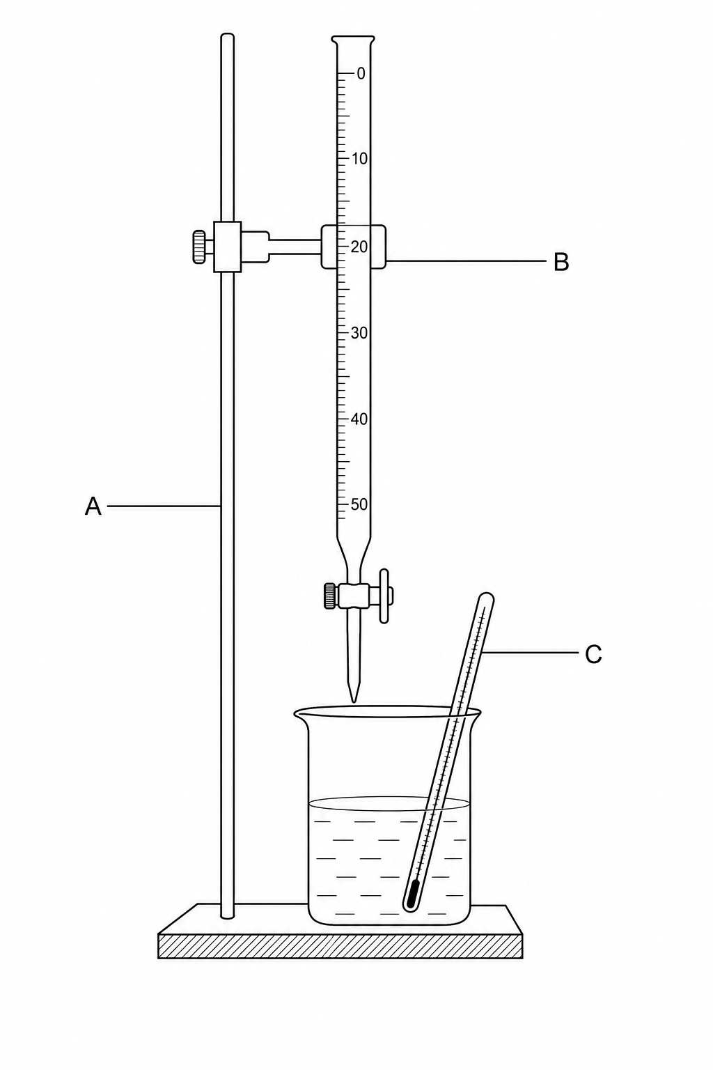 Experimental setup for measuring temperature change during neutralization. A vertical metal stand supports an adjustable clamp holding a long, narrow graduated glass tube (a burette) with a tap at the bottom. The tap is positioned directly above a glass beaker. Inside the glass beaker is a liquid, and a glass thermometer with a bulb at the bottom is resting at an angle inside the beaker to measure temperature. Three labeling lines are shown: Line A points to the vertical metal rod with its heavy base; Line B points to the graduated glass tube; Line C points to the internal glass thermometer.