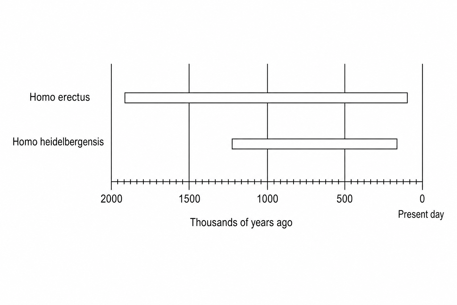 Hominin Timeline