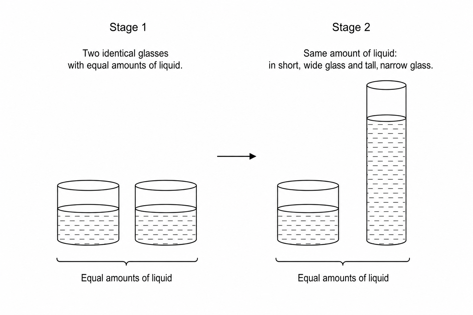 Piaget's conservation of liquid task