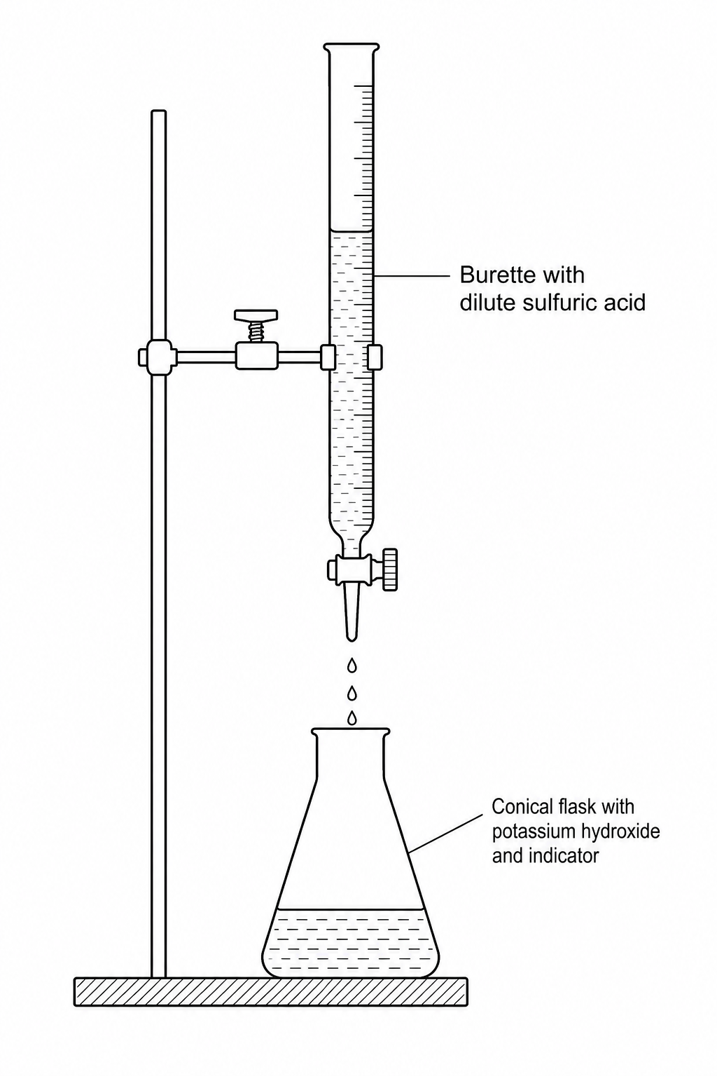 A laboratory setup for titration. A burette filled with dilute sulfuric acid is mounted on a retort stand over a conical flask containing potassium hydroxide solution and an indicator. Drops of dilute sulfuric acid are shown falling into the flask.