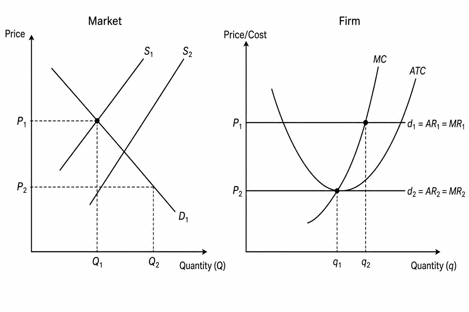 Perfect Competition Market and Firm Transition
