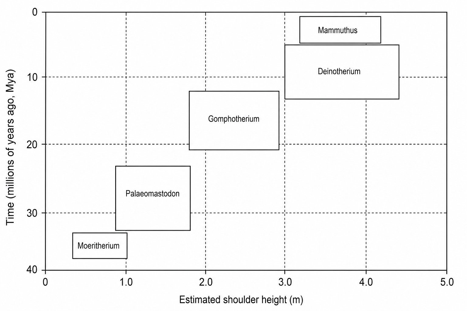Proboscidean evolution graph