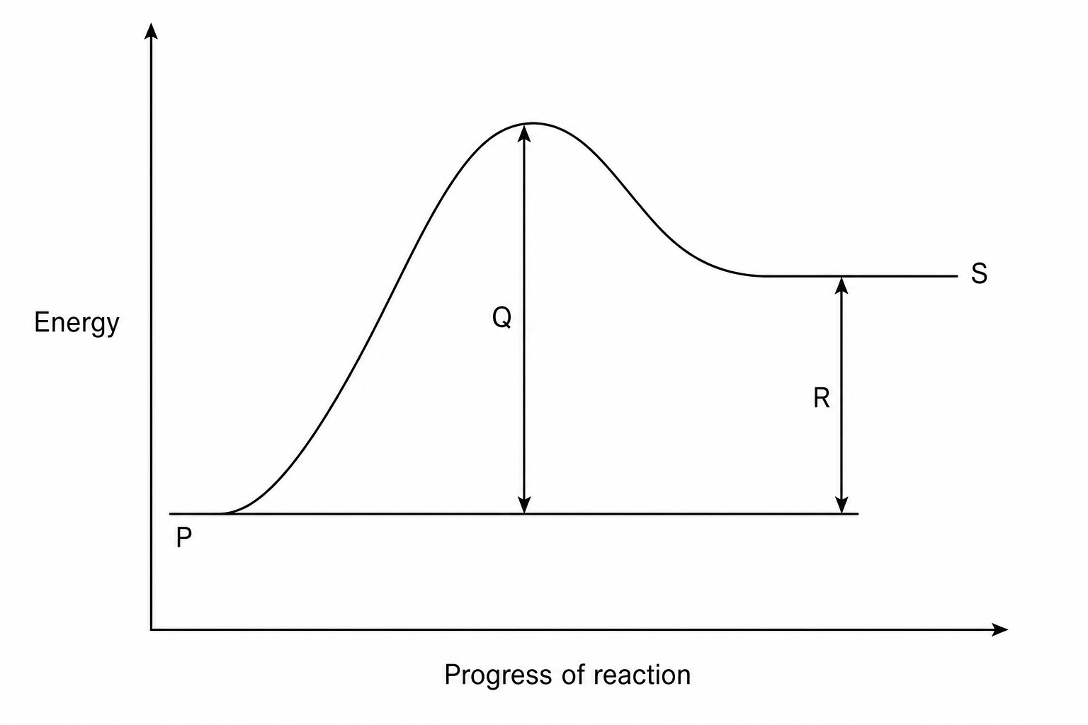 Reaction profile representing an endothermic reaction. The vertical axis is labeled 'Energy' and the horizontal axis is labeled 'Progress of reaction'. A flat line on the left at a lower energy level is labeled P. From P, the curve rises to a peak and then descends to a flat line on the right at a higher energy level, labeled S. A vertical arrow pointing from the level of P to the peak of the curve is labeled Q. A vertical arrow pointing from the level of P to the level of S is labeled R.