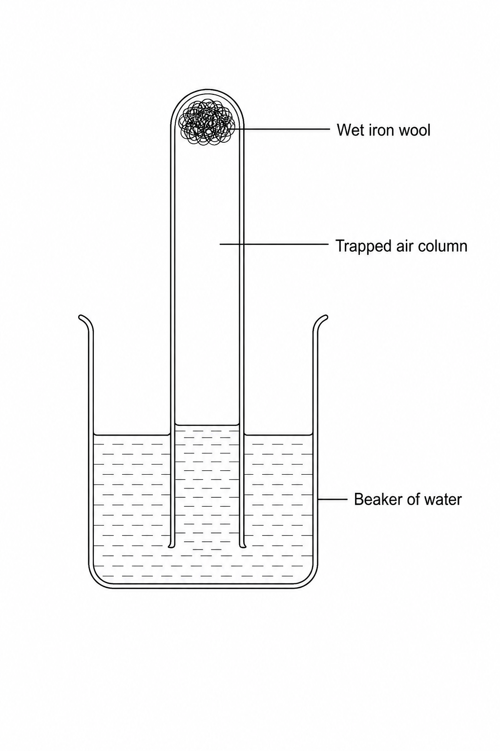 Experimental setup for determining oxygen percentage