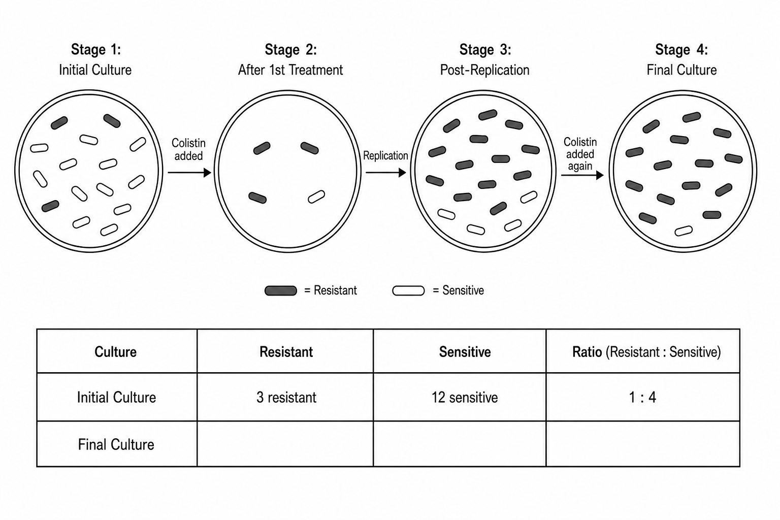 Antibiotic resistance flow diagram