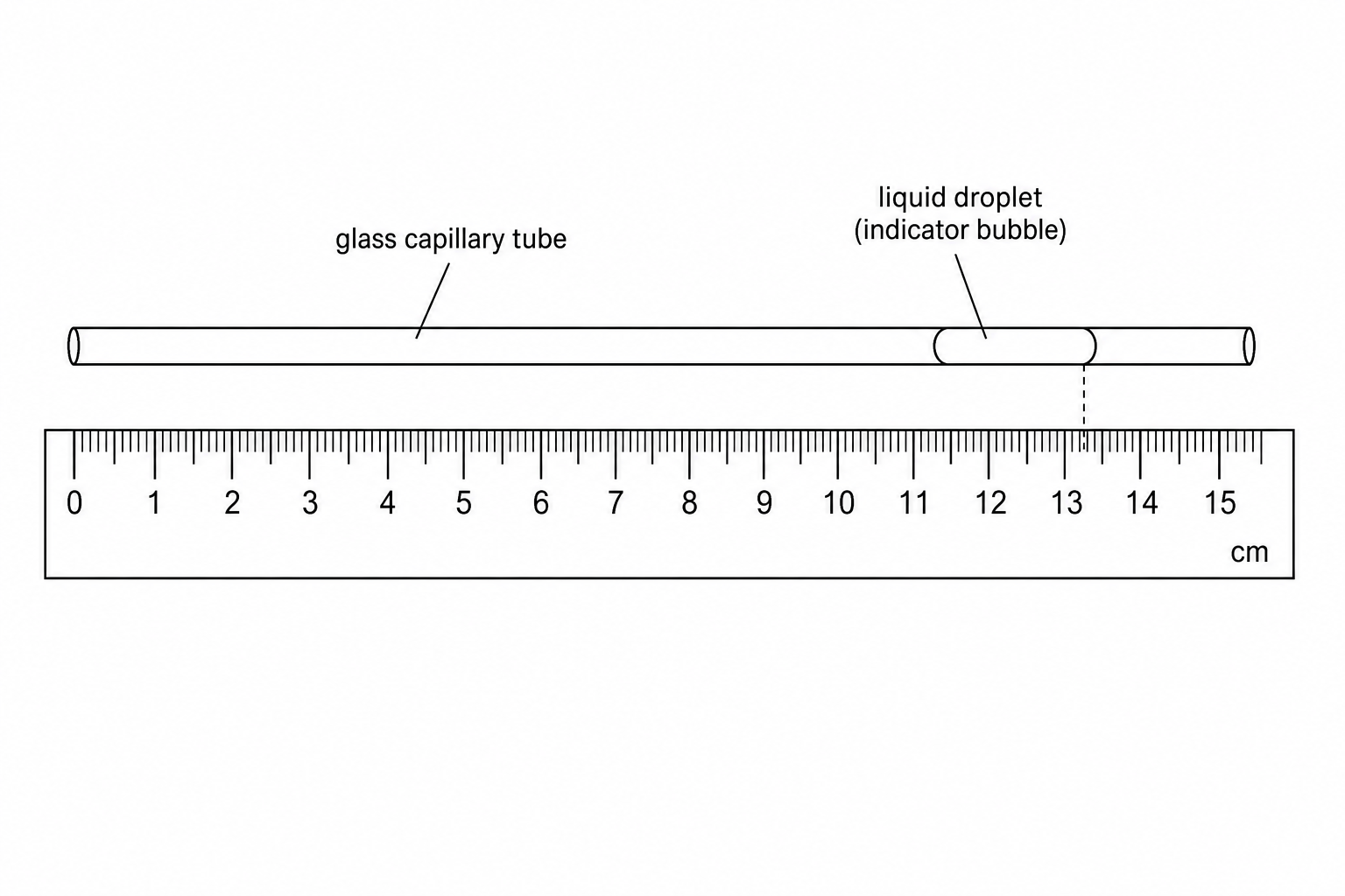 Respirometer ruler scale