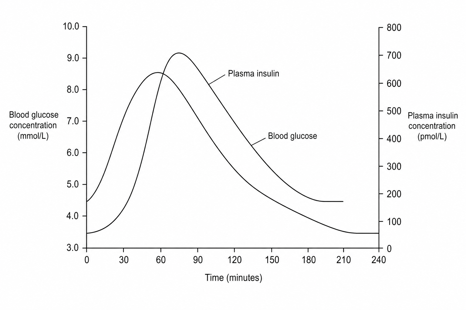 Graph of blood glucose and plasma insulin concentration over 240 minutes