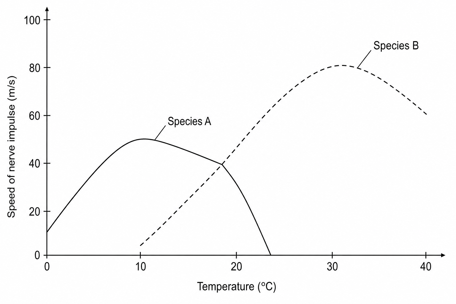A line graph showing the relationship between temperature in degrees Celsius (x-axis, from 0 to 40) and speed of nerve impulse in metres per second (y-axis, from 0 to 100) for two species of fish. Curve A (Species A, solid line) starts at (0, 10), rises to a peak at (10, 50), and then declines, passing through (20, 40) and ending at (25, 0). Curve B (Species B, dashed line) starts at (10, 5), rises through (20, 40) to a peak of (30, 80), and then declines to (40, 60). The two curves intersect exactly at the point (20, 40).