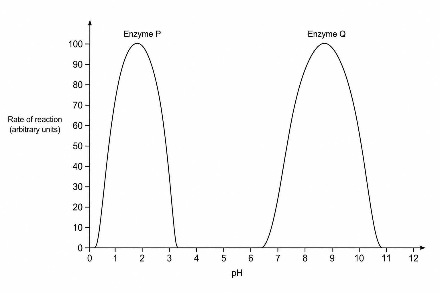 A graph showing the rate of reaction for Enzyme P and Enzyme Q at different pH values.