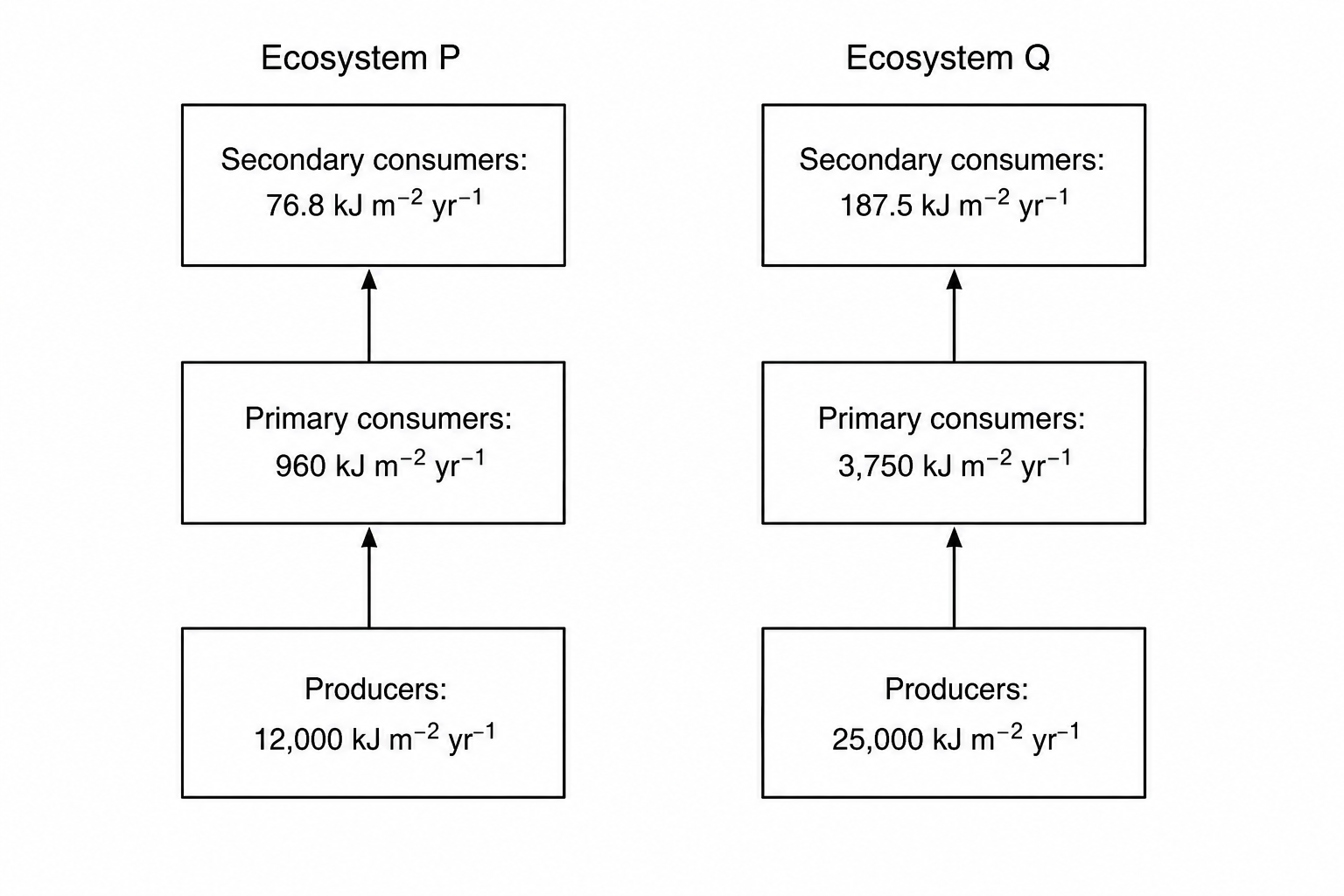 Energy transfer comparison between Ecosystem P and Ecosystem Q