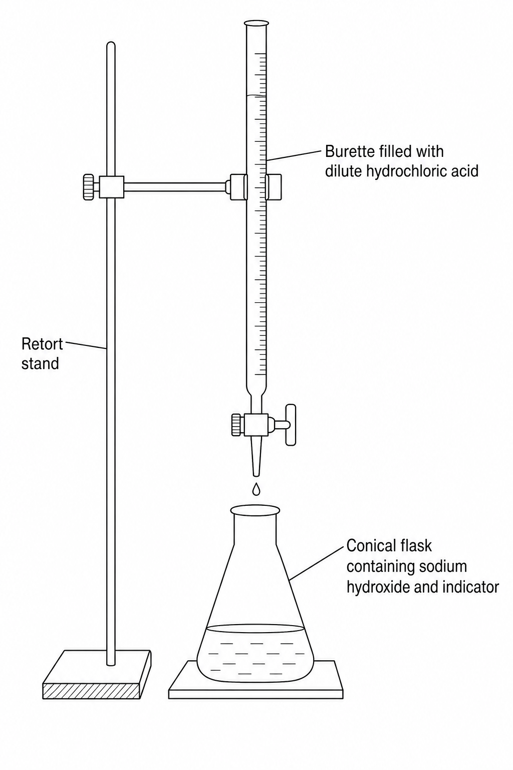 A laboratory setup for titration. A burette filled with dilute hydrochloric acid is mounted on a retort stand over a conical flask containing sodium hydroxide solution and an indicator. Drops of dilute hydrochloric acid are shown falling into the flask.