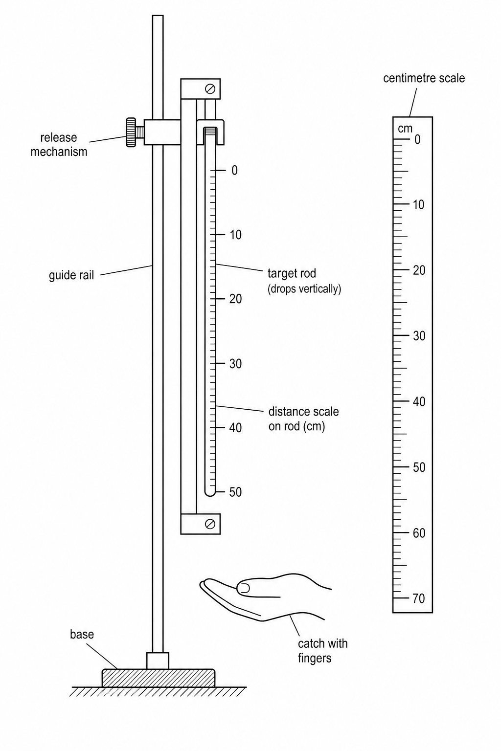 reaction-time apparatus