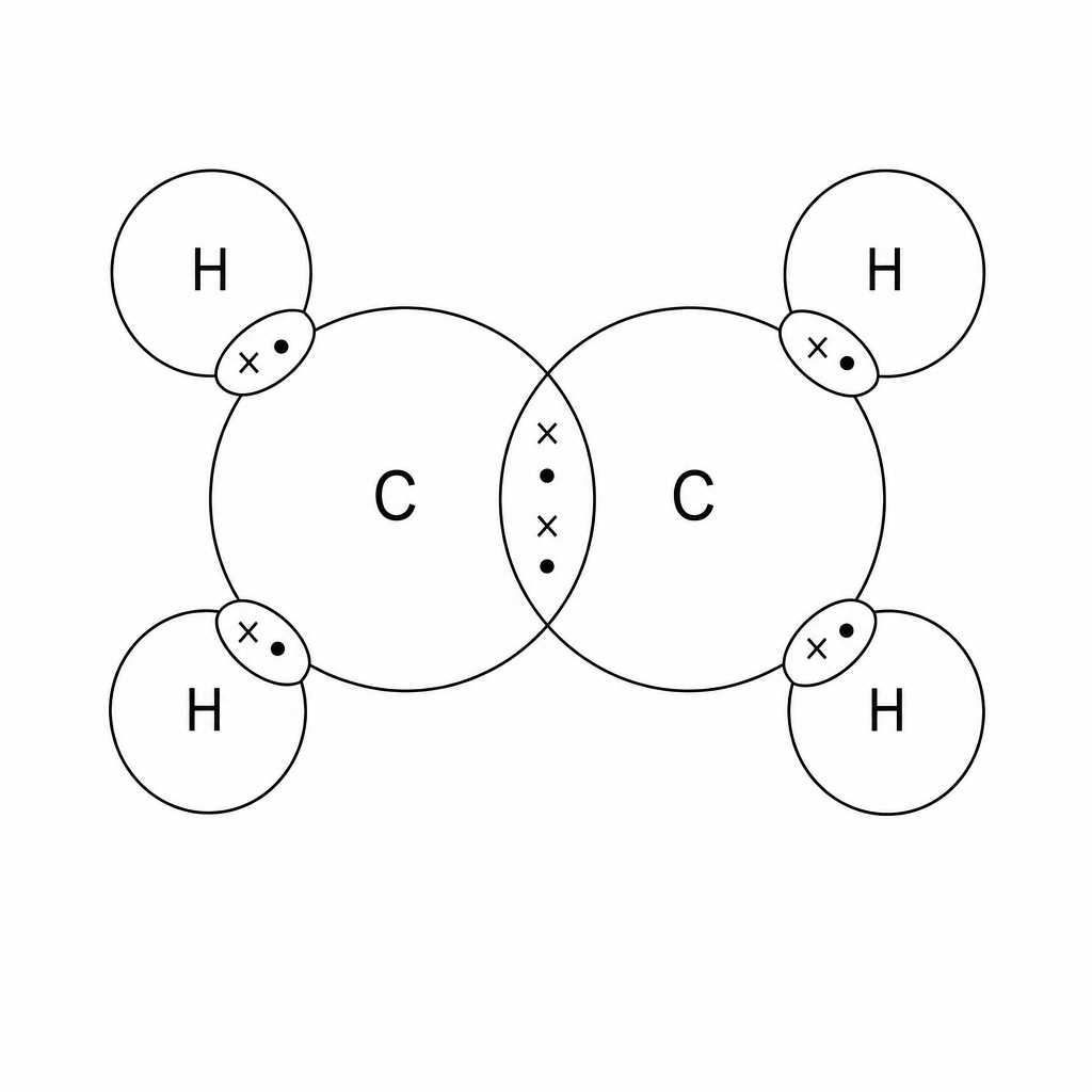 A dot-and-cross diagram showing two central carbon (C) atoms overlapping. The overlapping region contains four shared electrons (two crosses and two dots). Each carbon atom also overlaps with two hydrogen (H) atoms on its outer side. Each of these four C-H overlapping regions contains two shared electrons (one dot and one cross).