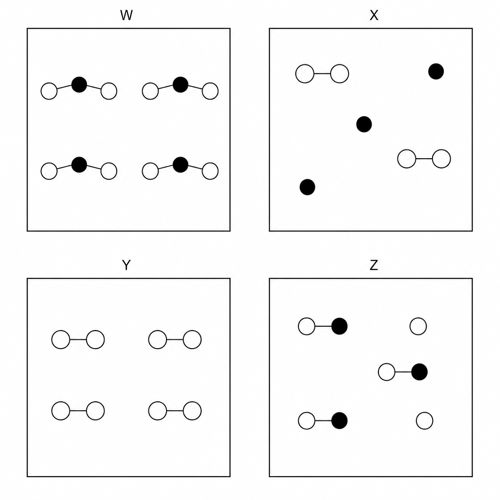 Figure 1: Particle diagrams showing boxes W, X, Y, and Z.