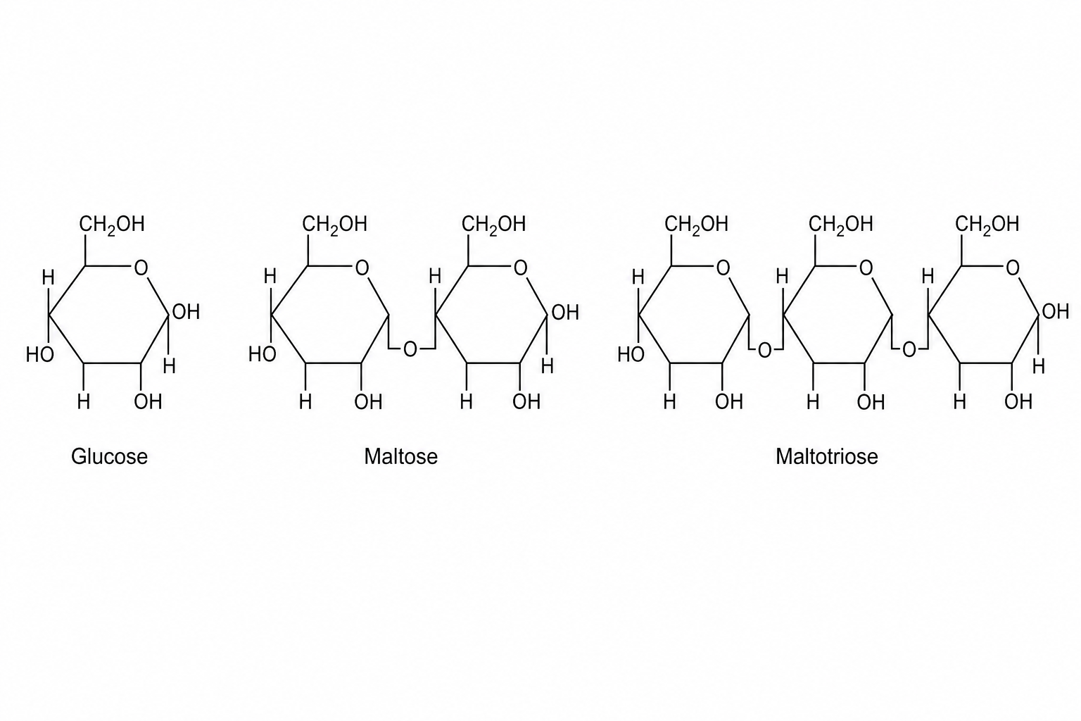 Structures of glucose, maltose, and maltotriose