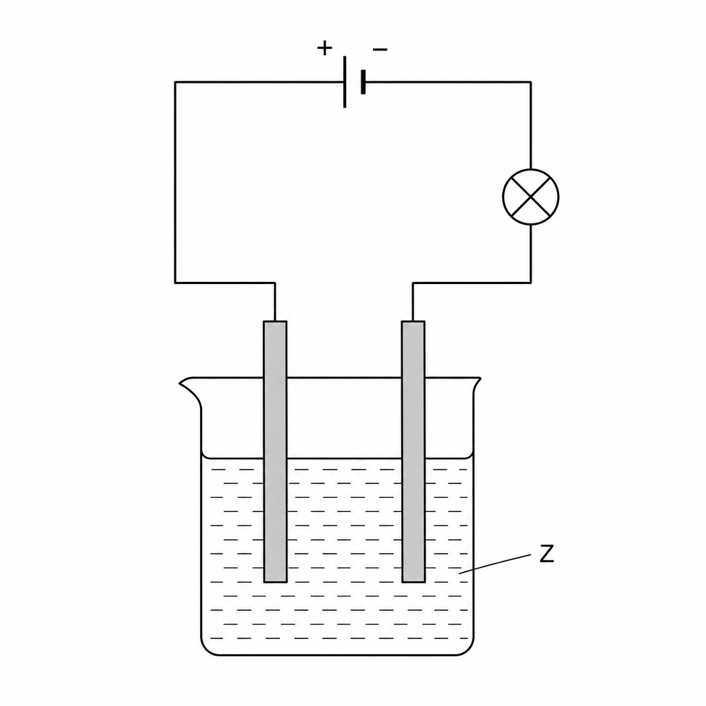 Figure 1: Electrolysis experimental setup