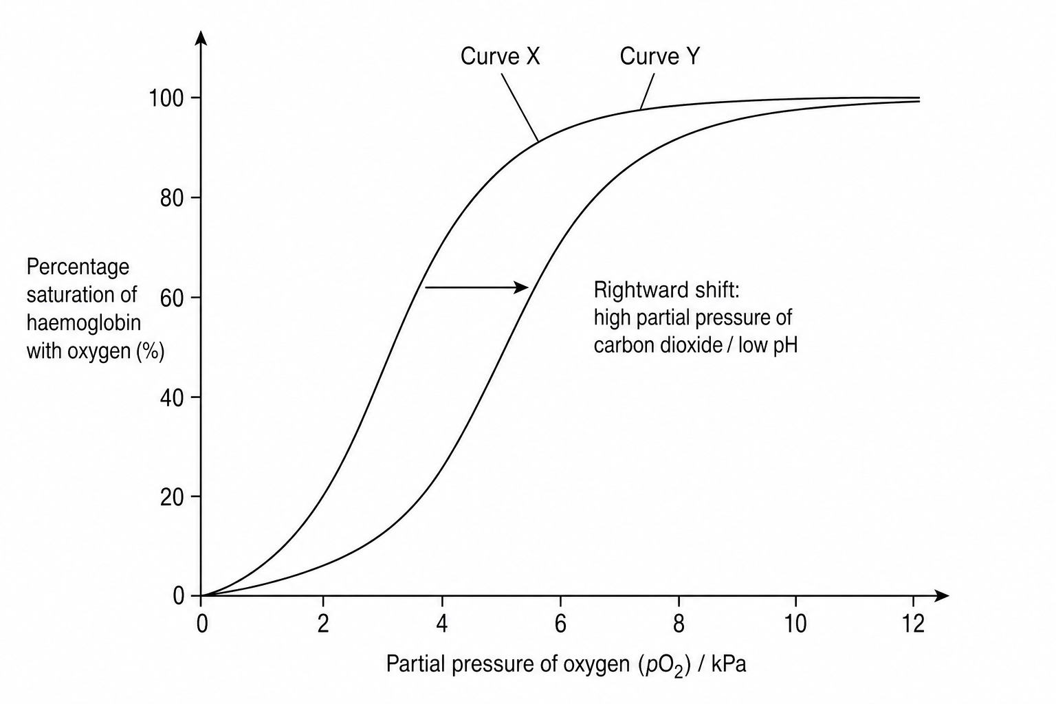 Oxygen dissociation curve