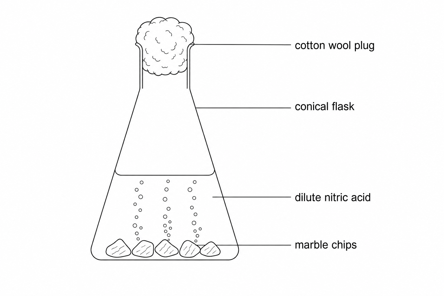 Diagram of a reaction flask containing dilute nitric acid and marble chips of calcium carbonate. The flask is closed at the neck with a cotton wool plug to allow carbon dioxide gas to escape while preventing liquid spray from leaving the flask.