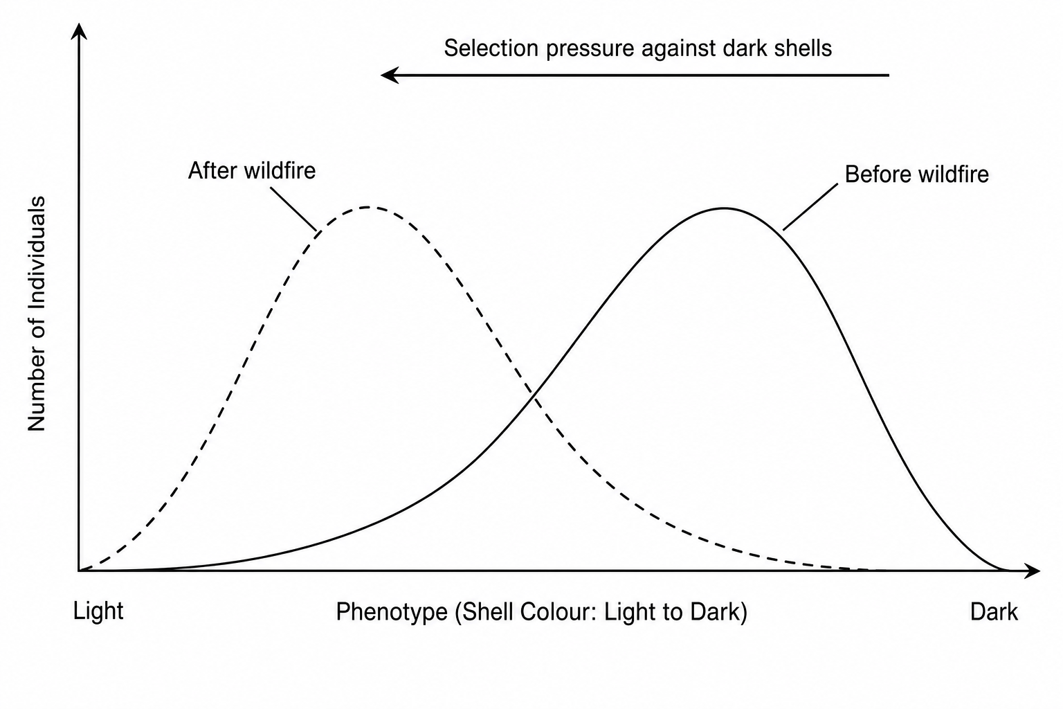 Snail Shell Colour Selection Curves