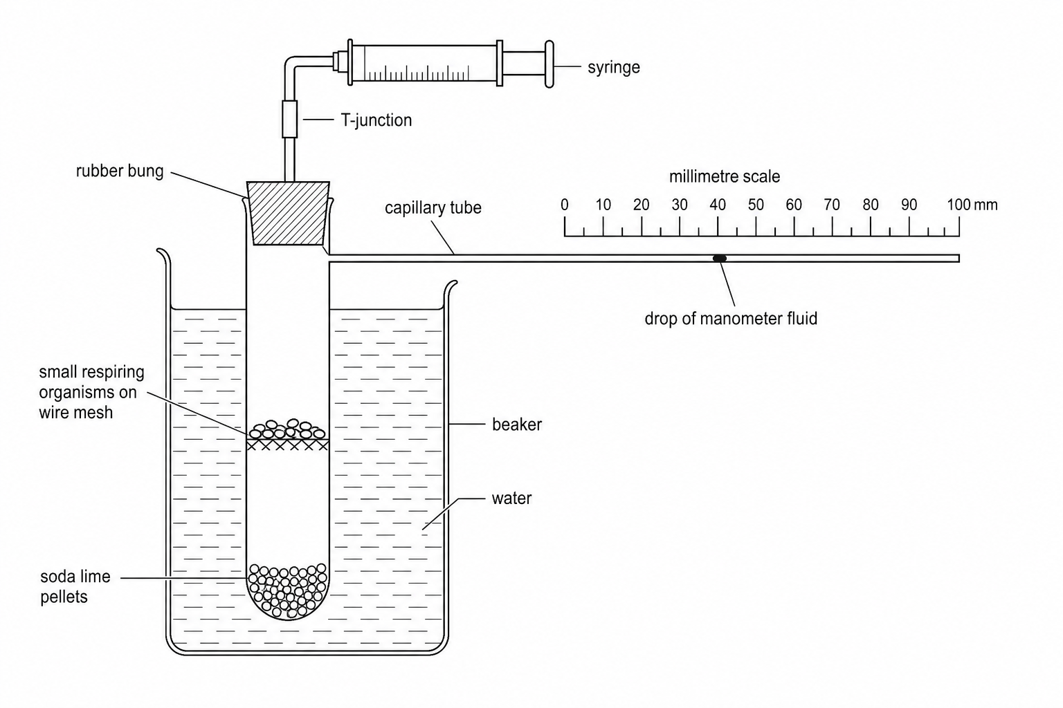 Respirometer experimental setup