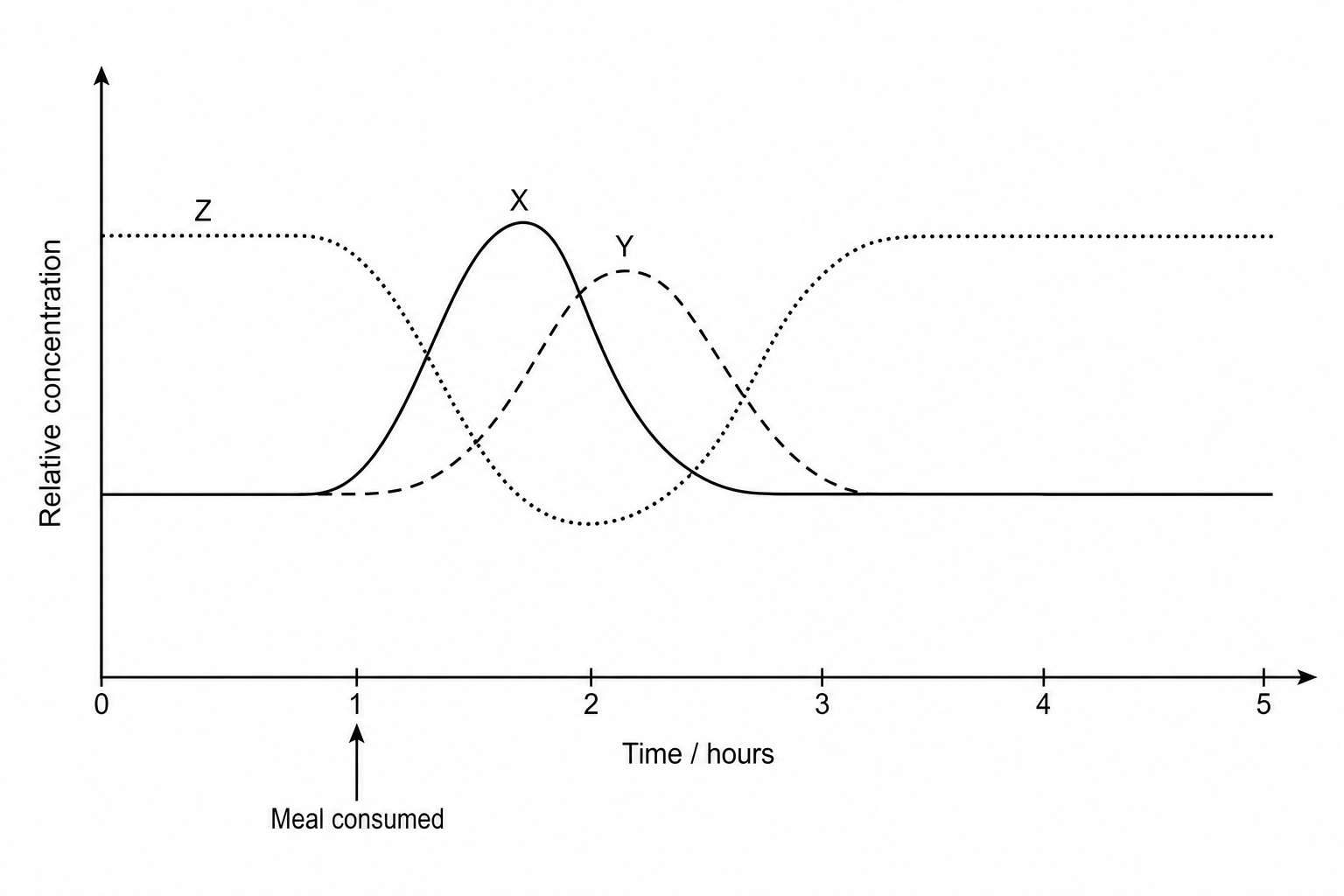 Relative concentrations of glucose, insulin, and glucagon in blood over time following a meal