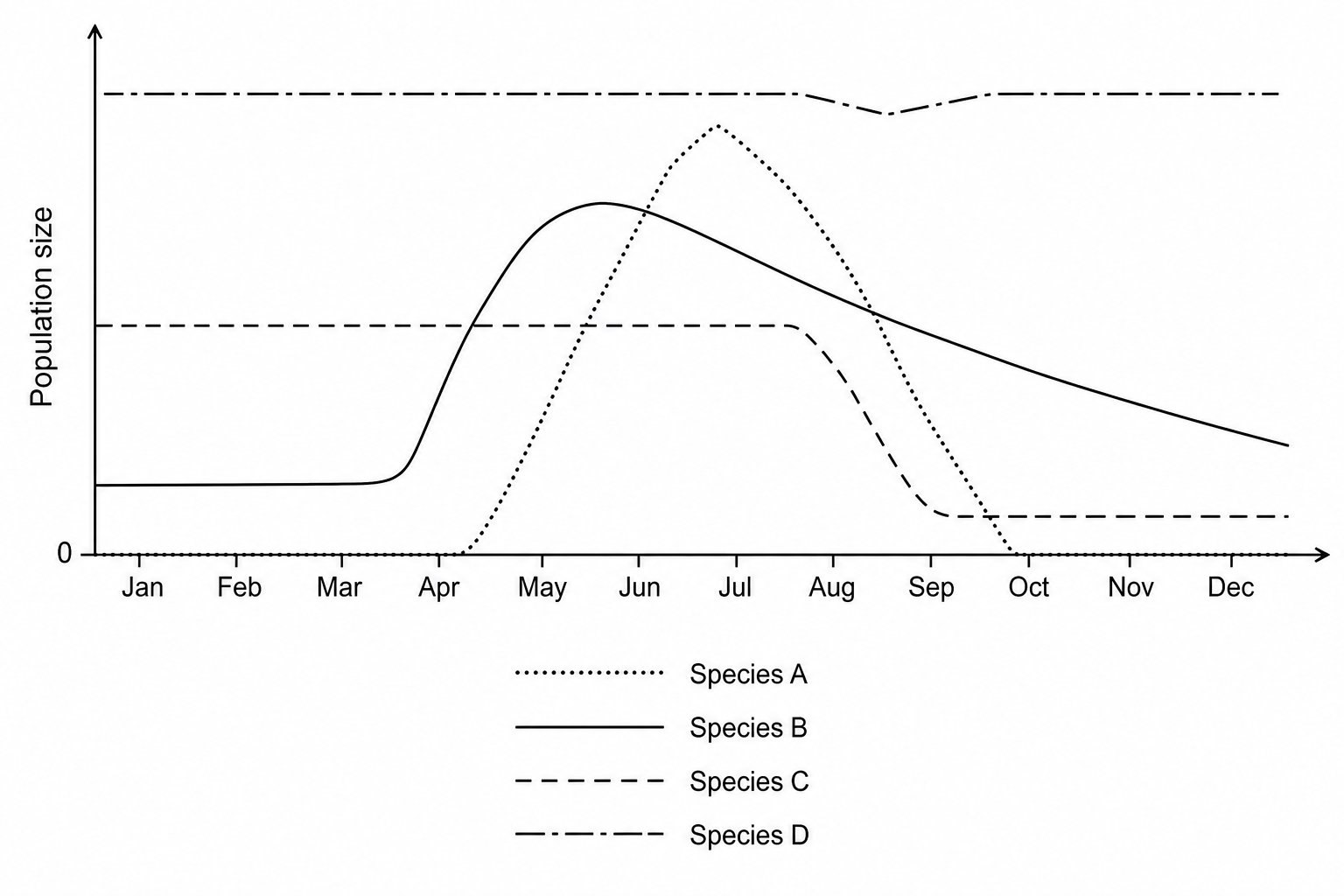 Population size of four bee species over one year