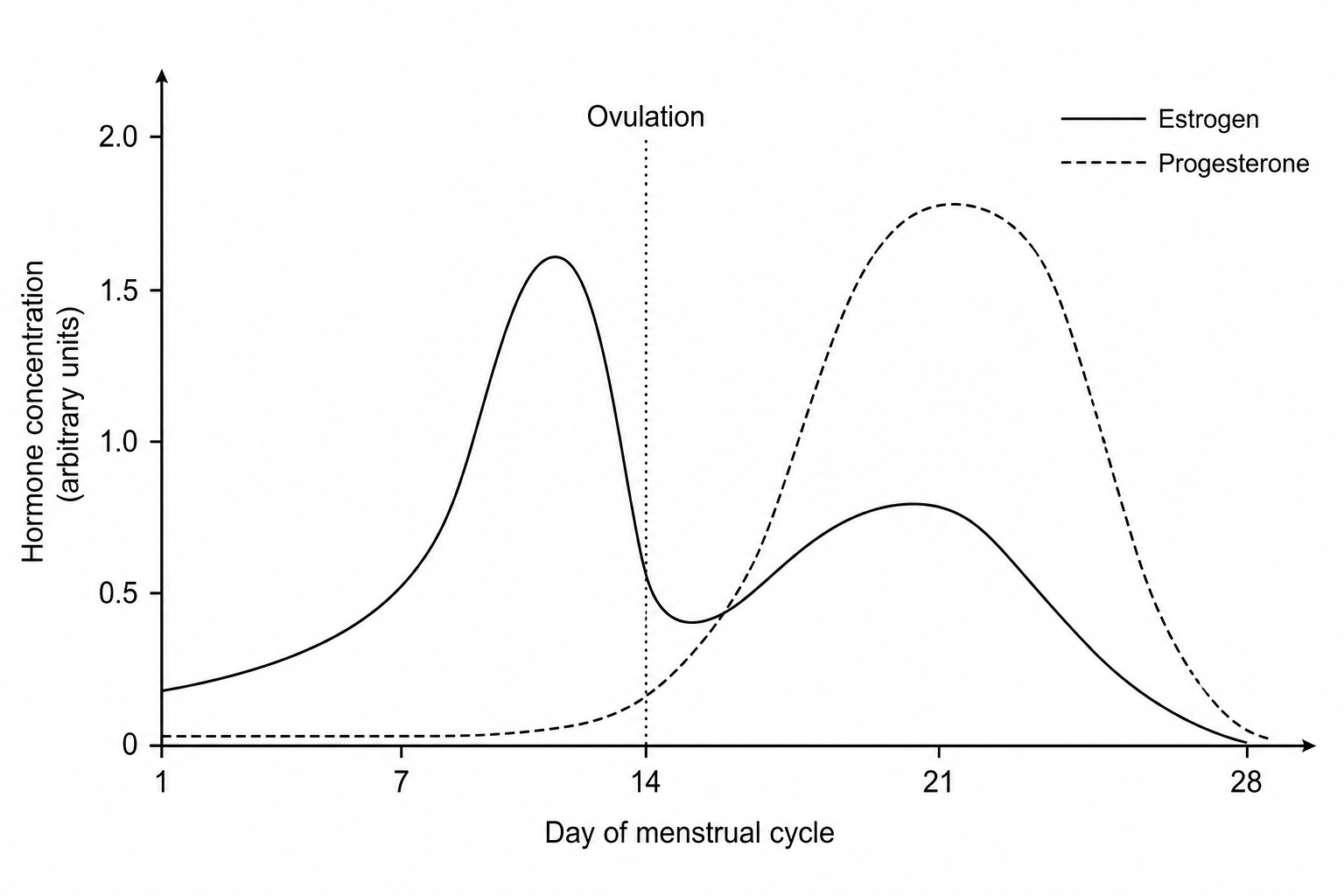 Figure 1: Ovarian hormone concentrations over a 28-day cycle