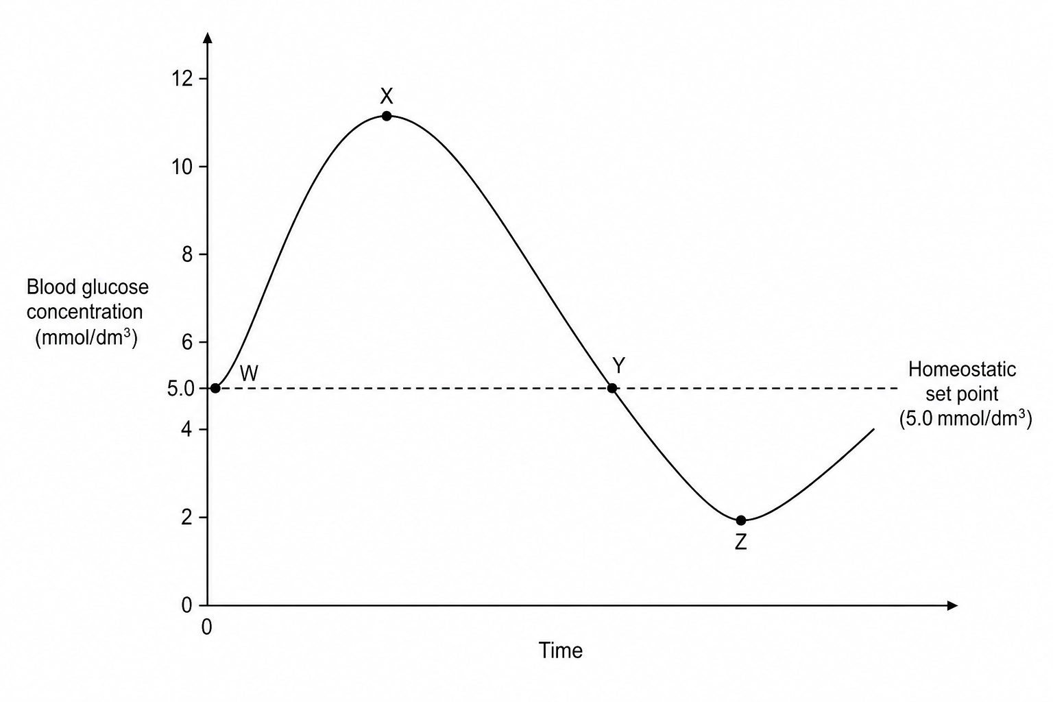 Blood Glucose Fluctuations