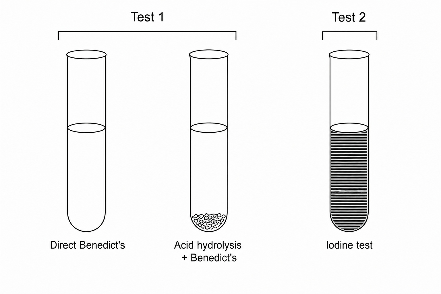 Biochemical food test results for a plant cell vacuole extract